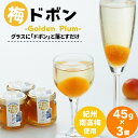 【ふるさと納税】梅ドボン Golden Plum 45g×3 / 田辺市 紀州南高梅 南高梅 梅干し 梅干 梅 うめ ドリンク 梅ジュース ワイン 日本酒