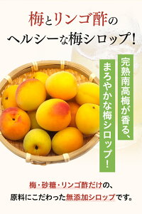 【ふるさと納税】＼レビューキャンペーン／ 完熟梅シロップ 330g×2 / 田辺市 紀州南高梅 南高梅 梅 梅シロップ