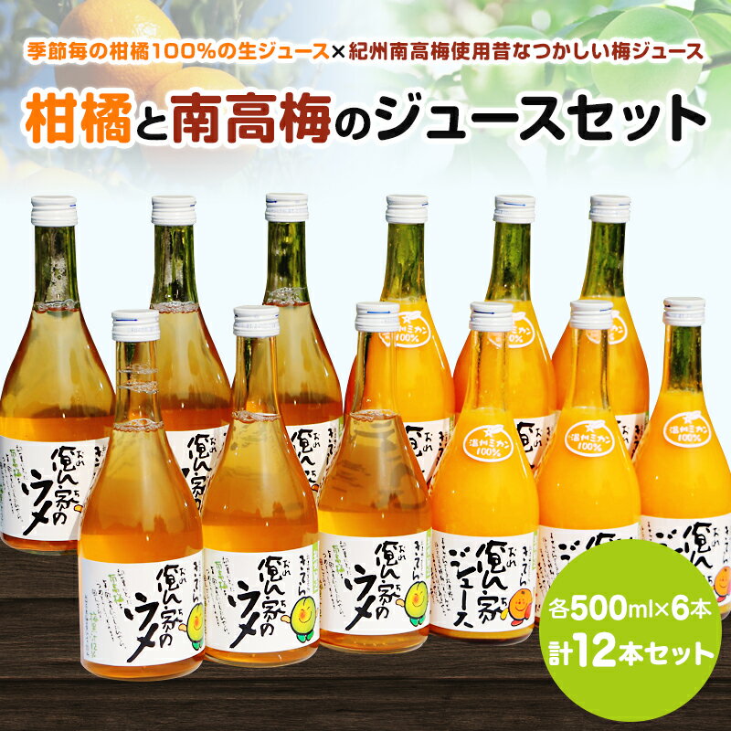 【ふるさと納税】紀州産ミカンジュースと南高梅のジュースセット 季節毎の柑橘ジュース500ml×6本・梅...