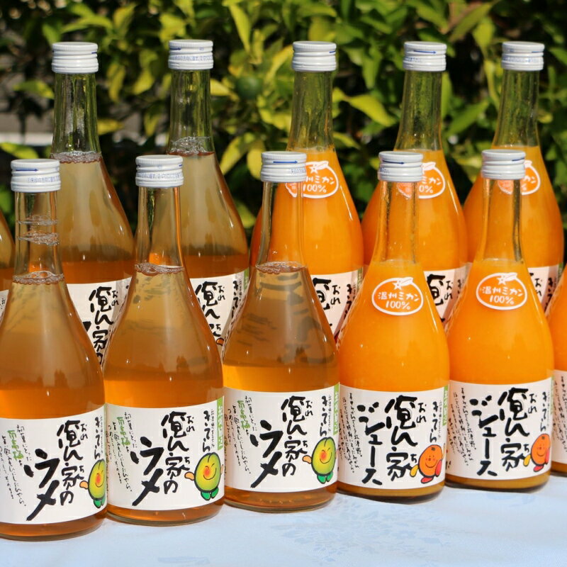 【ふるさと納税】紀州産ミカンジュースと南高梅のジュースセット 季節毎の柑橘ジュース500ml×6本・梅ジュース500ml×6本 / 和歌山 和歌山県産 田辺市 紀州南高梅 梅 梅ジュース みかん みかんジュース 100％ジュース ジュースセット