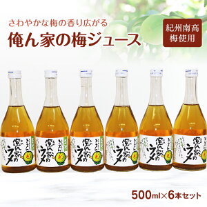 【ふるさと納税】俺ん家の梅ジュース500ml×6本セット / 和歌山 和歌山県産 田辺市 紀州南高梅 南高梅 梅 梅ジュース なつかしい