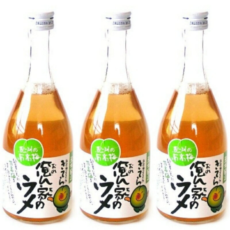 【ふるさと納税】俺ん家の梅ジュース500ml×3本セット / 和歌山 和歌山県産 田辺市 紀州南高梅 南高梅 梅 梅ジュース なつかしい