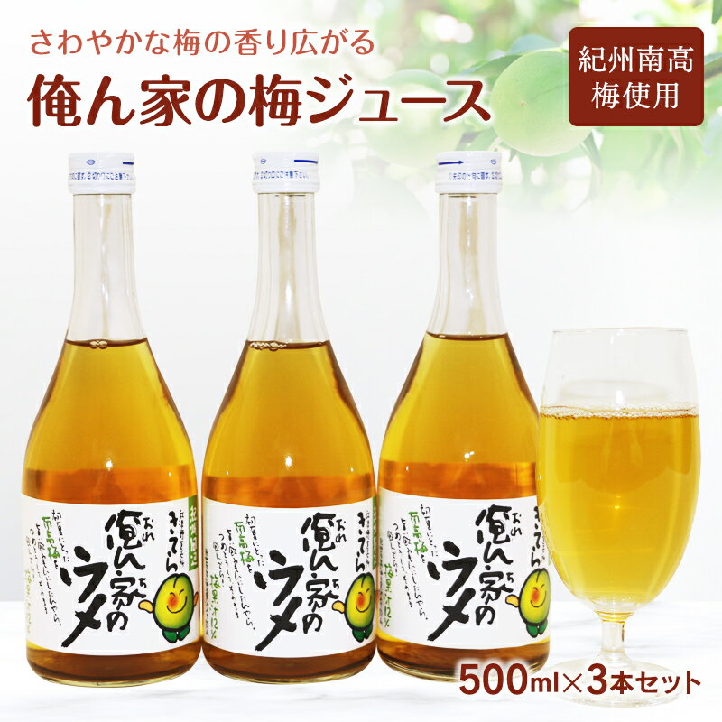 【ふるさと納税】俺ん家の梅ジュース500ml×3本セット / 和歌山 和歌山県産 田辺市 紀州南高梅 南高梅 梅 梅ジュース なつかしい