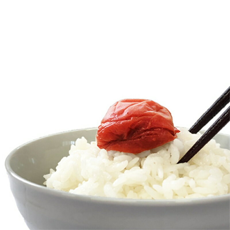 【ふるさと納税】ご家庭用紀州南高梅しそ漬け450g / 田辺市 紀州南高梅 南高梅 梅干し 梅干 梅 しそ梅 しそ漬け 家庭用 お家用