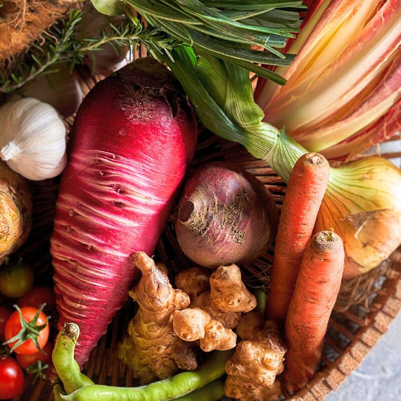 ミシュラン2022掲載店欧風料理 Mobo