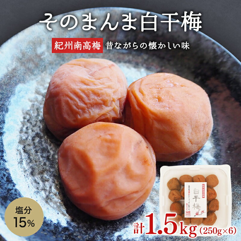 ＼レビューキャンペーン/ そのまんま白干梅 1.5kg(250g×6個)嬉しい小分けタイプ / 和歌山 和歌山県産 田辺市 紀州南高梅 南高梅 梅干し 梅干 梅 白干し梅 無添加 しょっぱい梅干し 昔ながらの梅干し なつかしい