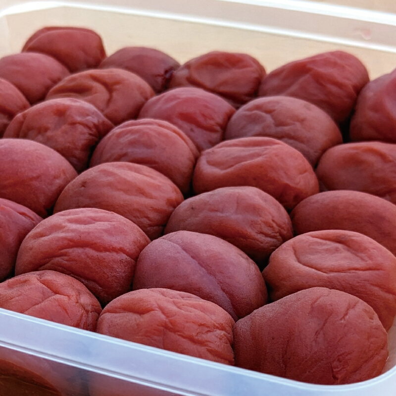 【ふるさと納税】日向屋の紀州南高梅 しそ漬け梅 選べる容量 / 和歌山 田辺市 紀州南高梅 南高梅 梅干し 梅干 梅 うめ 肉厚 お米 おにぎり しそ漬け