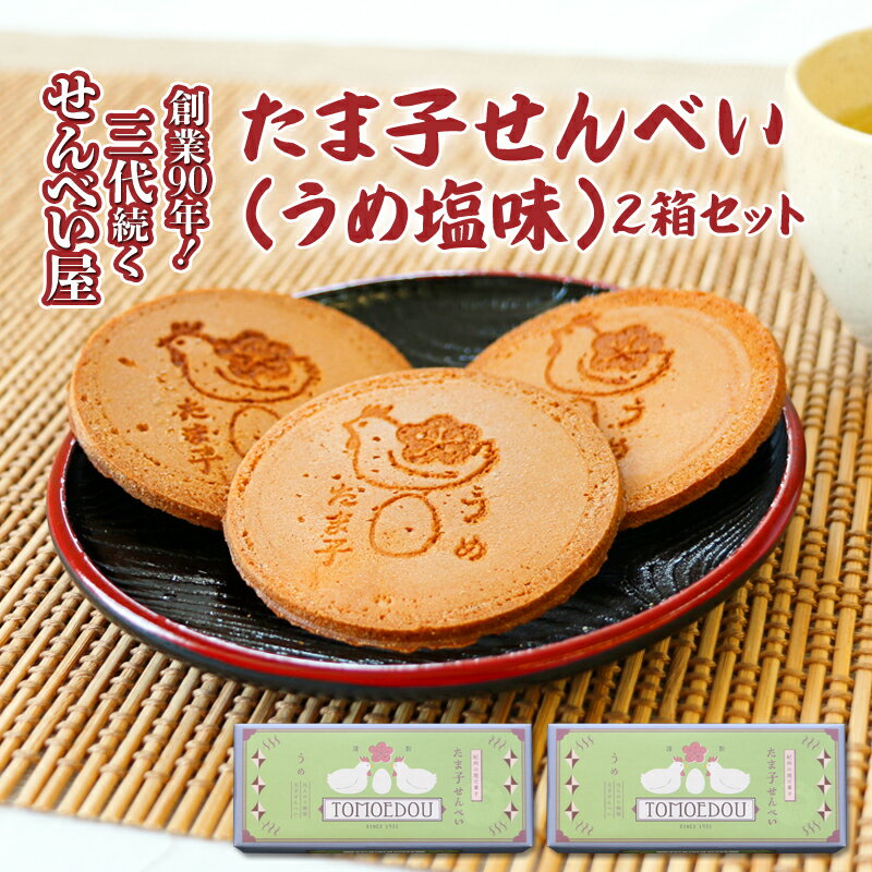 たま子せんべい うめ塩味 10枚入り×2箱