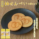 【ふるさと納税】柚せんべい 10枚入り×2箱セット / 和歌山 田辺市 お菓子 煎餅 お煎餅 せんべい おせんべい 柚果汁 銘菓 ギフト プレゼント レトロ