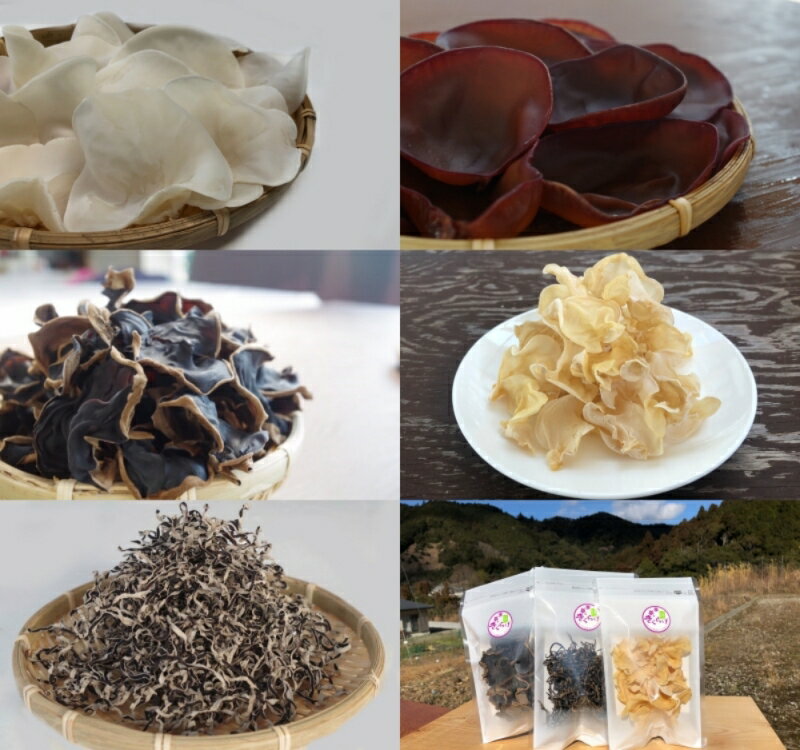 「夢のきくらげ」白いきくらげ・あらげきくらげセット1（生・乾燥） / 田辺市 きくらげ 生 乾燥 天然 無添加 栄養豊富 中華料理 サラダ