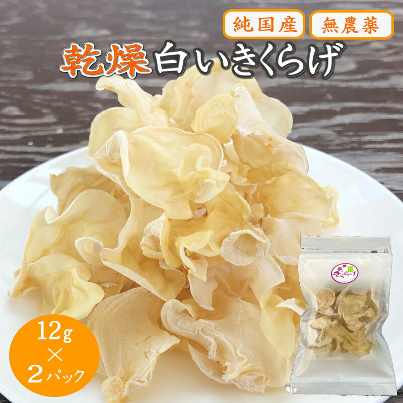 乾燥白いきくらげ 12g×2パック / 田辺市 きくらげ 乾燥 天然 無添加 栄養豊富 中華料理 サラダ