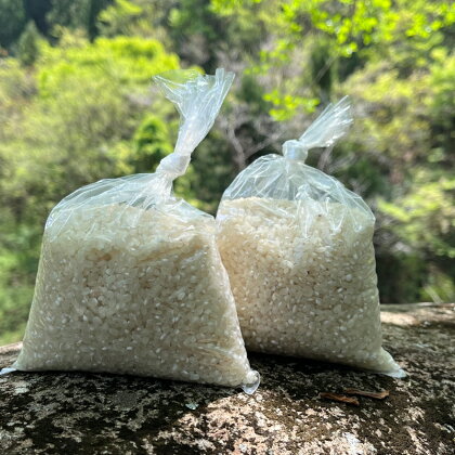香米　1.2kg（300g×4袋） / 田辺市 お米 米 ご飯 香