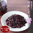 【ふるさと納税】国産しその葉 容量選べる!! / 田辺市 梅干し 梅干 梅 健康 昔ながら しそ梅 しそ
