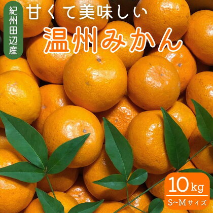 先行予約　紀州田辺産　甘くて美味しい温州みかん10kg（S～Mサイズ） ※2024年11月下旬～12月下旬頃に順次発送予定【期間限定・10/31まで】 / 和歌山県 ミカン 柑橘 フルーツ 果物 紀州産 早生