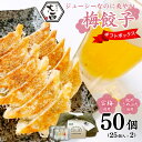 【ふるさと納税】大西の梅餃子セット ギフトBOX 計50個 (25個入り×2パック) / 和歌山県 田辺市 ぎょうざ ギョウザ ギョーザ 手作り 紀州南高梅 南...