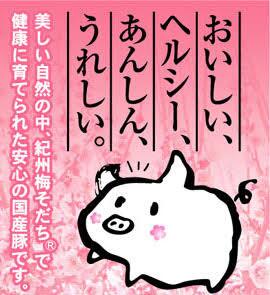 【ふるさと納税】【3カ月定期便】大西のしゅうまい 40個（20個入り×2パック） / 和歌山 田辺市 シュウマイ 焼売 手作り 紀州うめぶた 無添加 冷凍 レンジ調理 f302066-tanabe-10001932 和歌山県田辺市 サンプル画像3