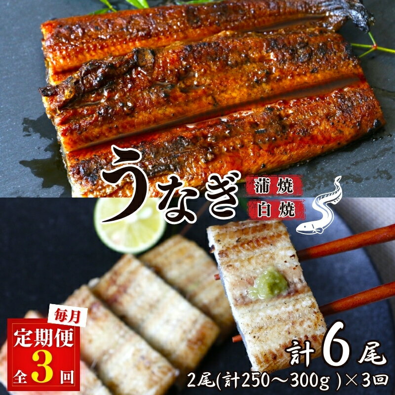 【3カ月定期便】うなぎ蒲焼き、うなぎ白焼き　各1本セット×3回 / 和歌山 田辺 うなぎ 鰻 白焼き うな丼 うな重 国産 鰻丼 かば焼き