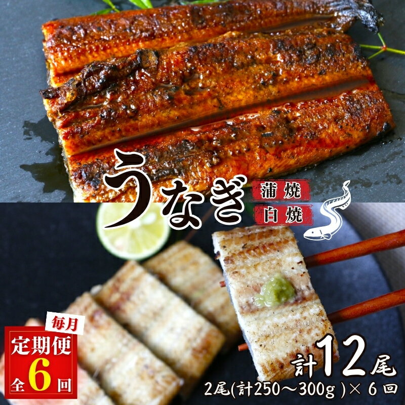 【6カ月定期便】うなぎ蒲焼き、うなぎ白焼き　各1本セット×6回 / 和歌山 田辺 うなぎ 鰻 白焼き うな丼 うな重 国産 鰻丼 かば焼き