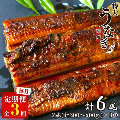 【3カ月定期便】特大うなぎ蒲焼き2本セット×3回 / 和歌山 田辺 うなぎ 鰻 かば焼き うな丼 うな重 国産 鰻丼 特大