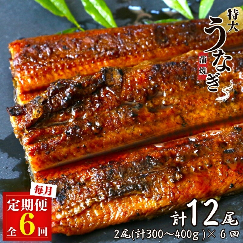 【ふるさと納税】【6カ月定期便】特大うなぎ蒲焼き2本セット×