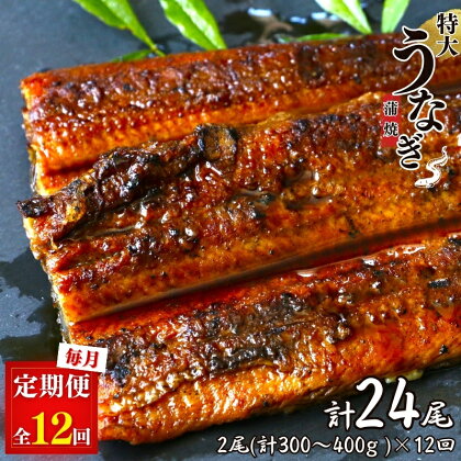 【12カ月定期便】特大うなぎ蒲焼き2本セット×12回 / 和歌山 田辺 うなぎ 鰻 かば焼き うな丼 うな重 国産 鰻丼 特大