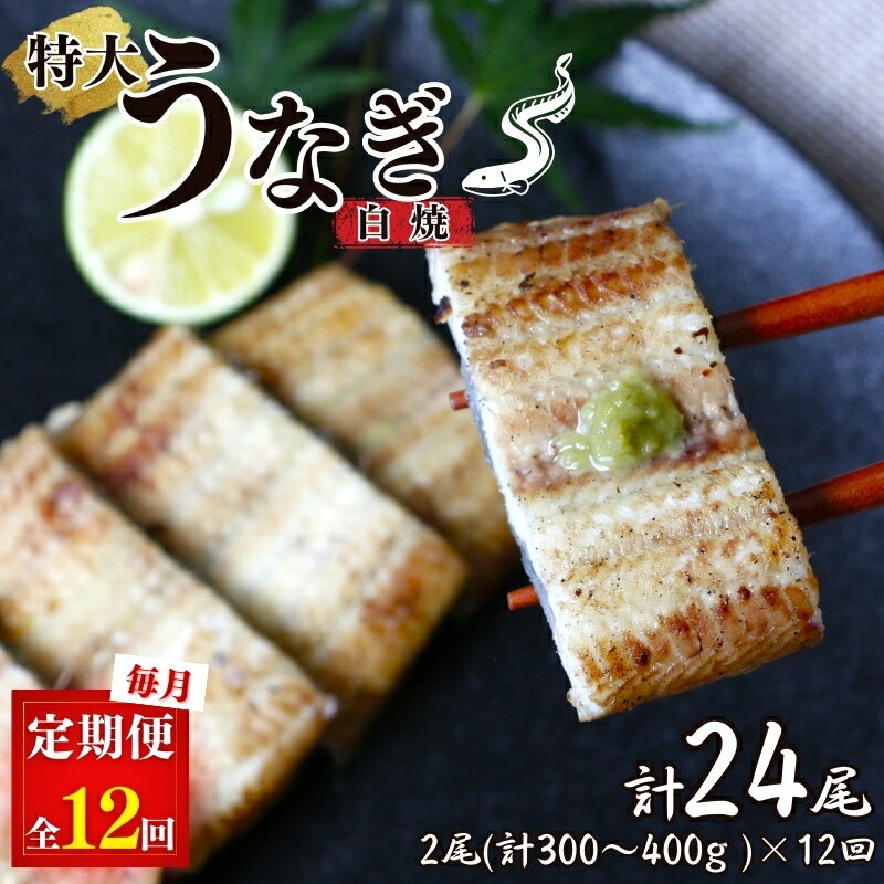 【ふるさと納税】【12カ月定期便】特大うなぎ白焼き2本セット