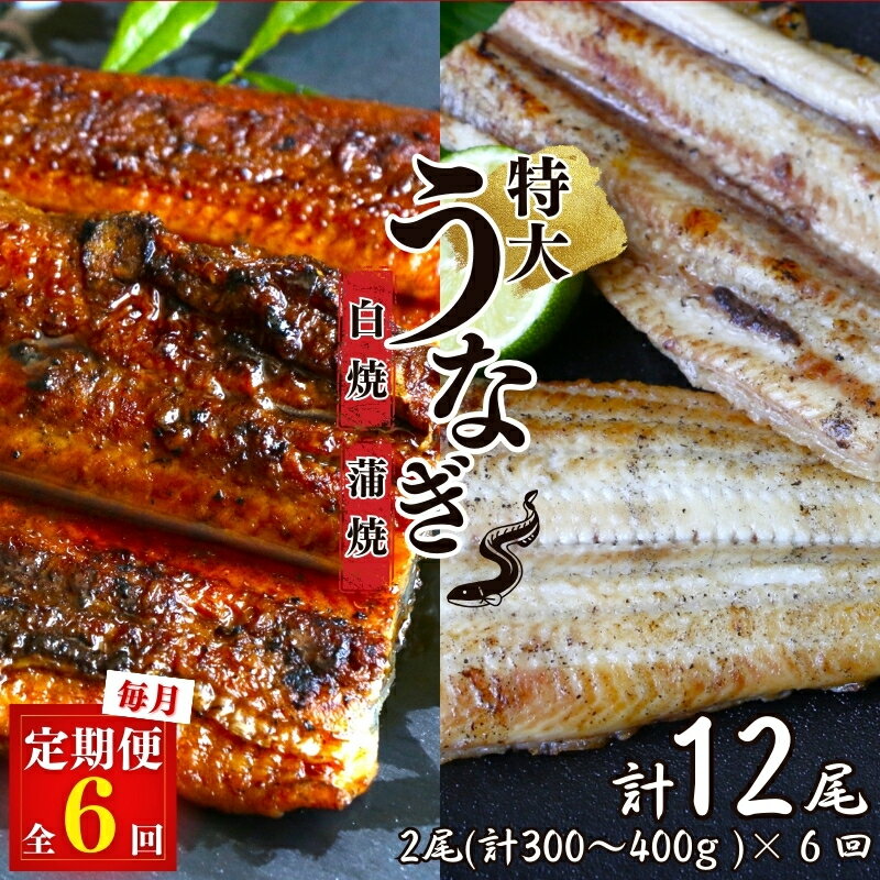 5位! 口コミ数「0件」評価「0」【6カ月定期便】特大うなぎ蒲焼き、うなぎ白焼き　各1本セット ×6回/ 和歌山 田辺 うなぎ 鰻 白焼き うな丼 うな重 国産 鰻丼 かば焼･･･ 