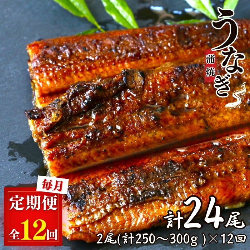 12カ月  うなぎ蒲焼き2本 ×12回