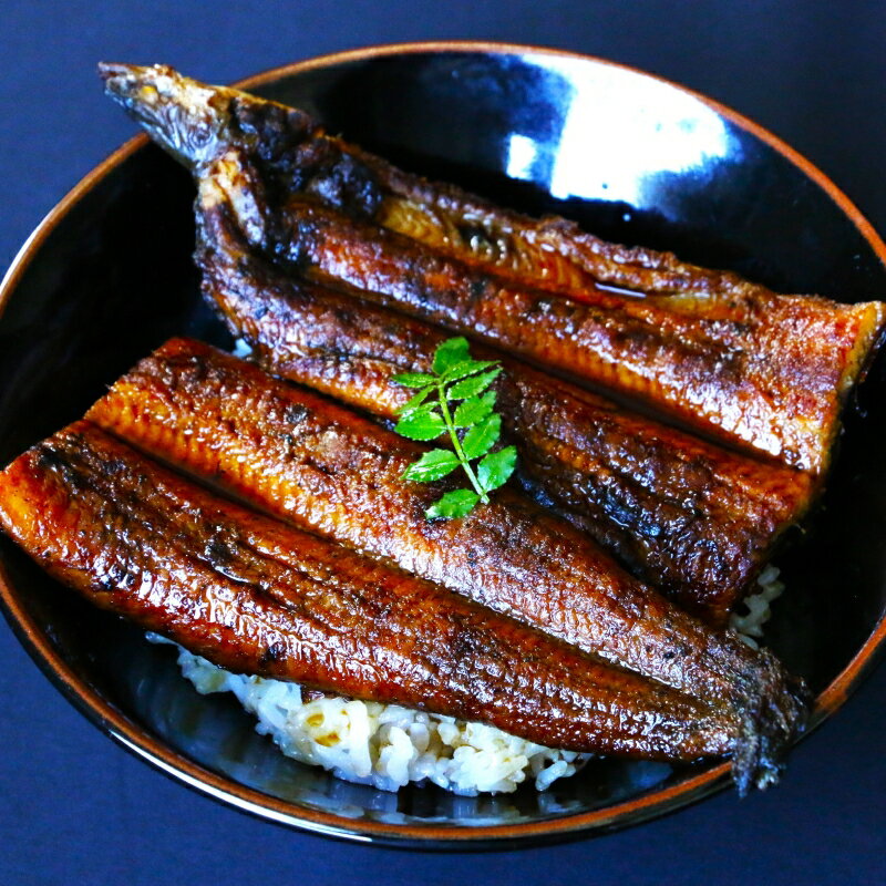 うなぎ 蒲焼き 白焼き 選べる2本   和歌山