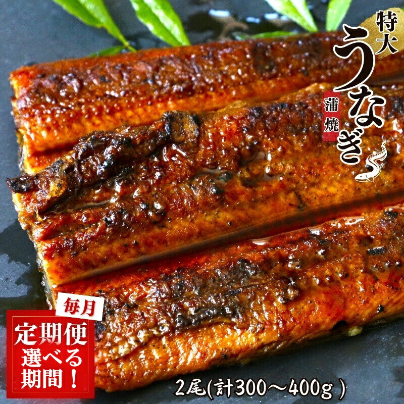 【ふるさと納税】【定期便】特大うなぎ蒲焼き2本セット【選べる回数】【3回 6回 12回】 / 和歌山 田辺 うなぎ 鰻 かば焼き うな丼 うな重 国産 鰻丼 特大