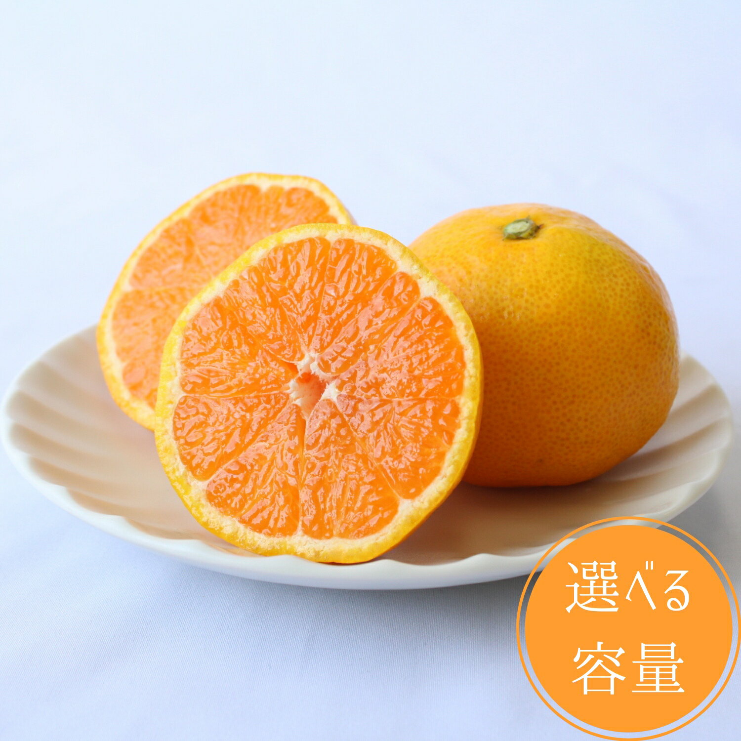2025年分先行予約極早生みかん ゆら早生　選べる容量10月上中旬以降順次発送予定