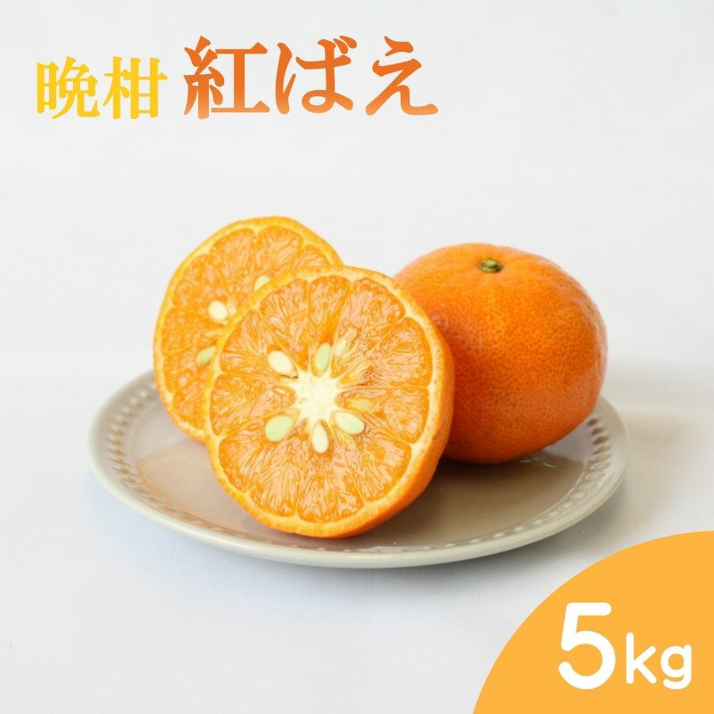 【ふるさと納税】【先行予約】晩柑 紅ばえ　5kg【2025年1月上旬以降順次発送】 / 和歌山県 田辺市 みかん 晩生 柑橘