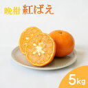 【ふるさと納税】【先行予約】晩柑 紅ばえ　5kg【2025年