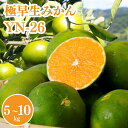【ふるさと納税】【2025年分先行予約】極早生みかん YN-26(紀のゆらら)選べる容量【9月上中旬以降順次発送予定】 / 和歌山県 田辺市 みかん 早生みかん 柑橘(4)