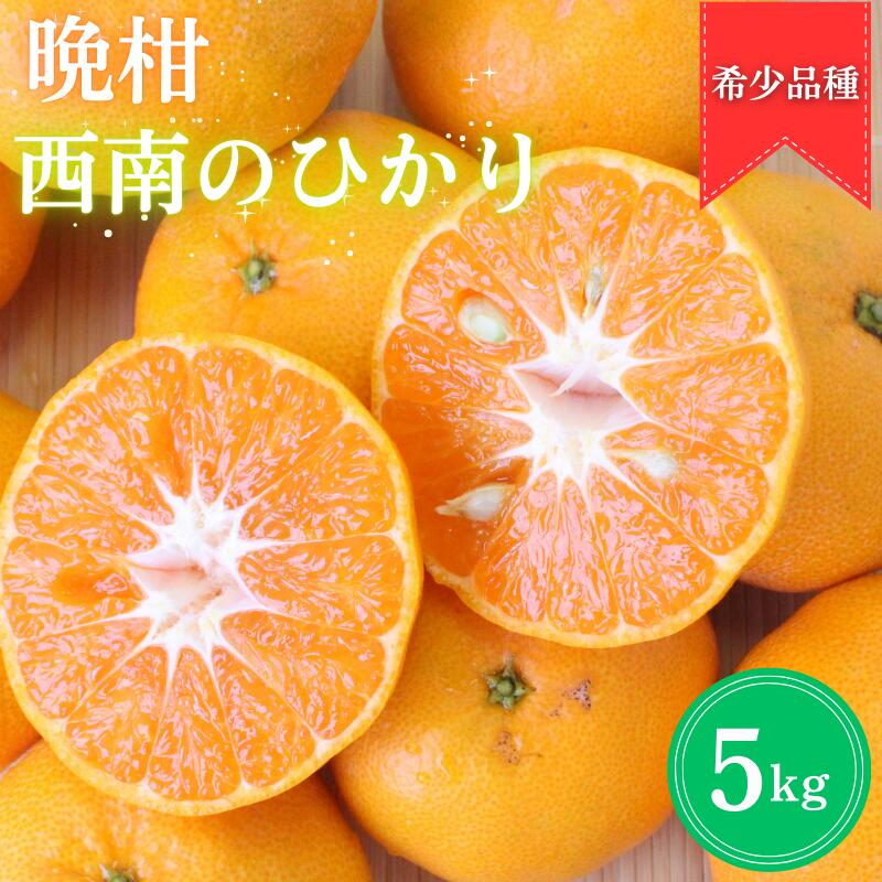 【ふるさと納税】【2025年分先行予約】晩柑 西南のひかり 5kg【11月下旬以降順次発送予定】 / 和歌山県 田辺市 みかん 晩柑みかん 柑橘