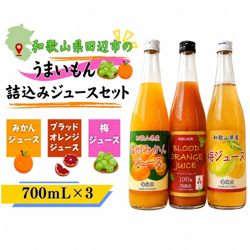 和歌山県田辺市のうまいもん詰込みジュースセット/みかんジュース 梅ジュース ブラッドオレンジジュース各700ml