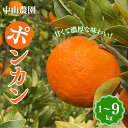 【ふるさと納税】【期間限定】中山農園のポンカン 【選べる容量】 1kg 4kg 9kg 【先行予約】※1月から順次発送予定※ / みかん ミカン 蜜柑 和歌山県 ぽんかん フルーツ 果物 柑橘 田辺市