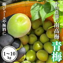 【ふるさと納税】【期間限定・2025/4/30まで】中山農園の南高梅 青梅【選べる容量】 1kg 3kg 5kg 10kg 【先行予約】※2026年5月下旬から順次発送予定※ / 紀州南高梅 梅シロップ 梅ジュース 梅酒 和歌山県