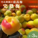 【ふるさと納税】【期間限定・2026/5/15まで】中山農園の南高梅 完熟梅 【選べる容量】 1kg 3kg 【先行予約】※2026年6月中旬から順次発送予定※ / 紀州南高梅 梅干 梅ジュース 梅酒 和歌山県