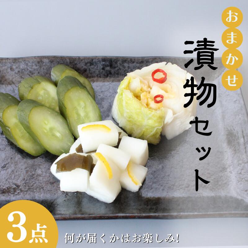 【ふるさと納税】おまかせ3点セット / 漬物 ごはんのおとも 大根 きゅうり 白菜 キムチ 浅漬け ぬか漬け 和歌山 田辺市