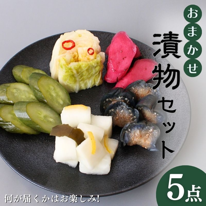 【ふるさと納税】おまかせ5点セット / 漬物 ごはんのおとも 大根 きゅうり 白菜 古漬 梅漬け キムチ 浅漬け ぬか漬け 和歌山 田辺市