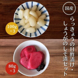 【ふるさと納税】らっきょうの甘酢漬け100g×3・しょうがのしそ漬80g×3セット / 無添加 漬物 ごはんのおとも 惣菜 和歌山 田辺市