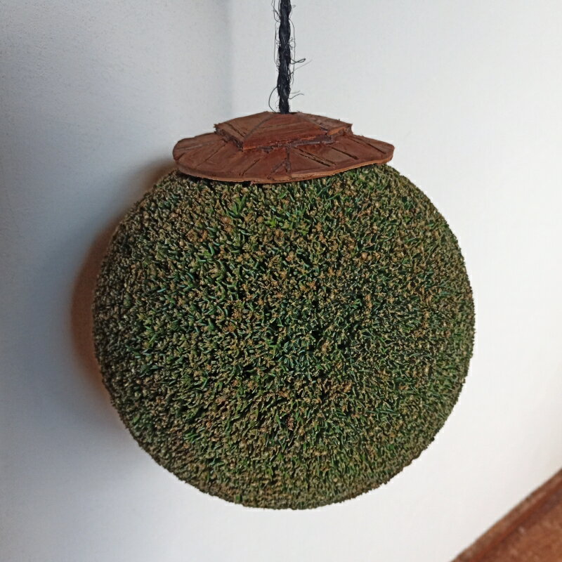 【ふるさと納税】龍神の杉玉(小) / 和歌山県 田辺市 龍神村 酒林 飾り インテリア