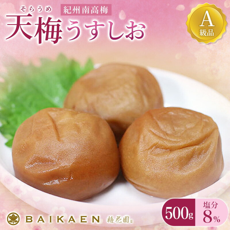 紀州南高梅 天梅(そらうめ)うすしお 500g