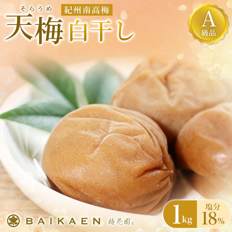 紀州南高梅 天梅(そらうめ)白干し 1kg