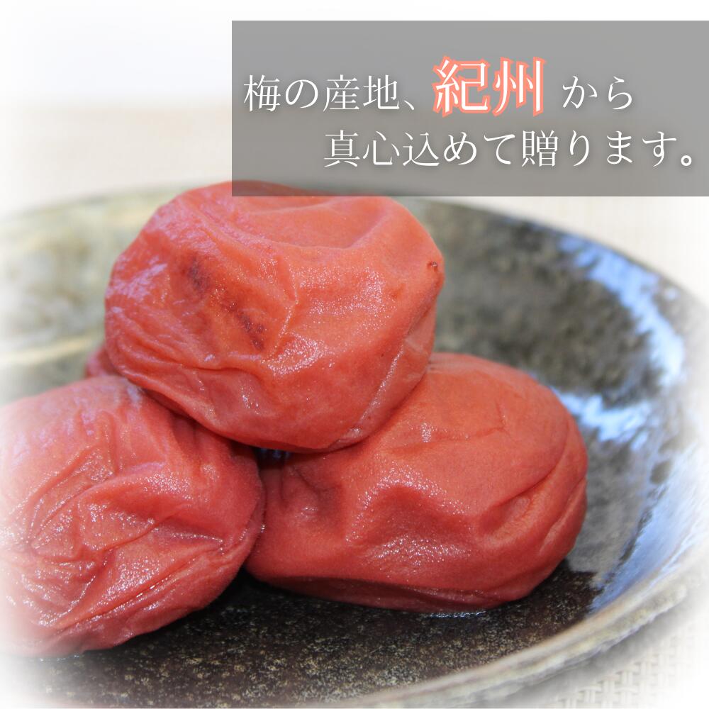 上沖産業 宮崎県産甘らっきょう 上沖らっきょ 100g×20個セット - 上沖産業