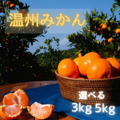 【先行予約】温州みかん 【選べる容量3kg 5kg】 ※11月下旬以降随時発送予定 /田辺市 和歌山 みかん ミカン 柑橘 温州みかん フルーツ オレンジ