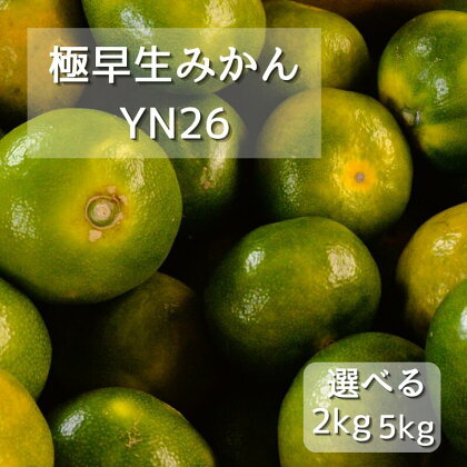 【先行予約】極早生みかん　YN26 【選べる容量2kg 5kg】　※9月下旬以降随時発送予定 / 和歌山県 田辺市 みかん 早生みかん 柑橘