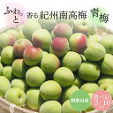 【ふるさと納税】ふわっと香る紀州南高梅 青梅 容量選べる!※2026年6月中旬~7月上旬頃に順次発送予定【期間限定:2026年6月15日まで】 / 和歌山 田辺市 紀州南高梅 南高梅 梅干し 梅干 梅 うめ 青梅 梅シロップ 梅酒