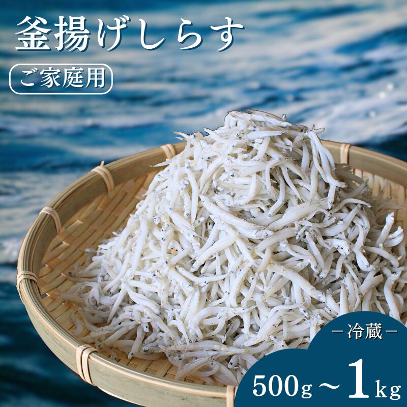 22位! 口コミ数「0件」評価「0」釜揚げしらす（ご家庭用）【500g～1kg】※北海道・沖縄・離島配送不可 / しらす丼 丼ぶり シラス 家庭用 冷蔵 お取り寄せ 和歌山県 ･･･ 